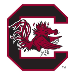 south carolina gamecocks